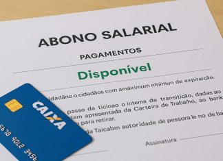 Como consultar o pagamento do PIS online no Brasil