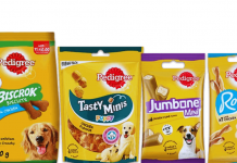 Experimente os petiscos Pedigree – Caixa de amostras grátis para cães