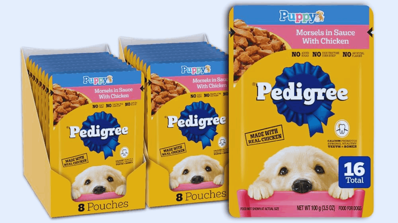 Experimente os petiscos Pedigree – Caixa de amostras grátis para cães