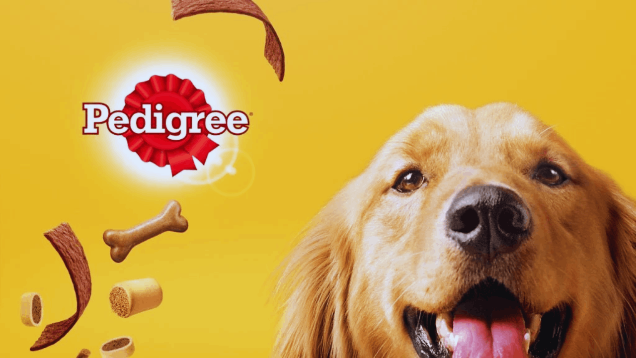 Try Pedigree Treats – Dog Sample Box Free